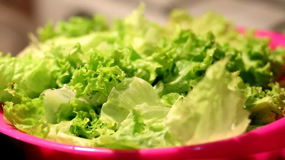 Centrifuga per insalata: capacità e sistema di rotazione da valutare